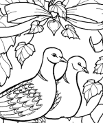 Two Turtle Doves Coloring Page