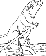 River Otter Drift Boat Coloring Page